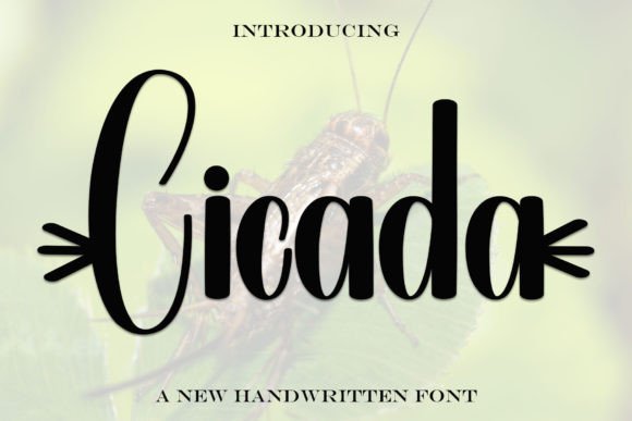 Cicada Font: Elegant Handwritten Style for Crafters