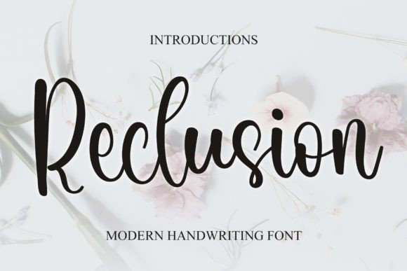 Reclusion: A Script Amp for Real Design Work