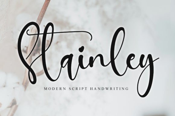 Stainley: A Stylish Font for Business Branding
